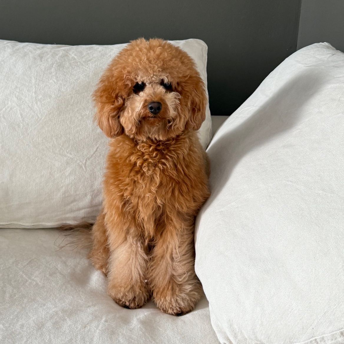 Foto de perfil de Sofia Mondragon